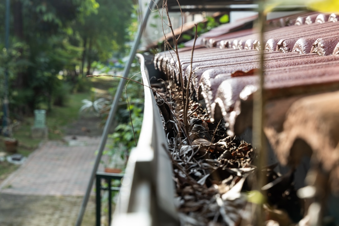 Why Gutter Guards Are Southwest Missouri Homeowners’ Secret Weapon