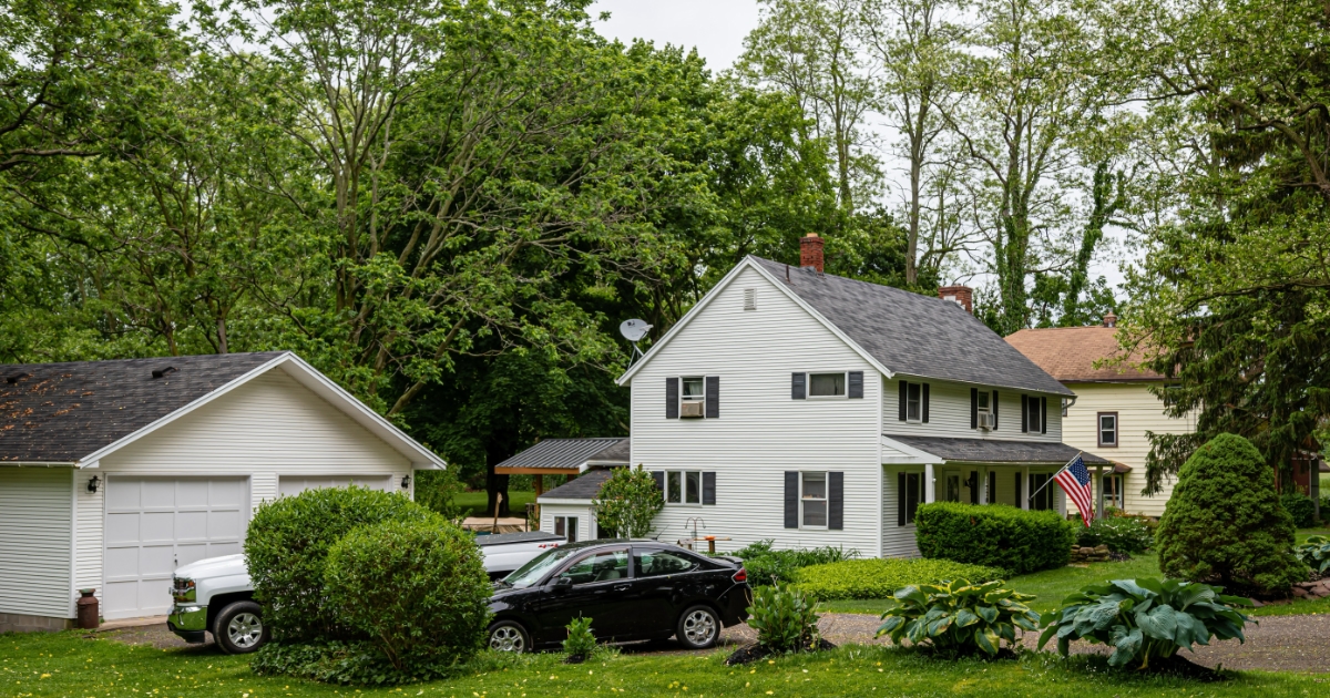 5 Trees Most Likely to Cause Clogged Gutters